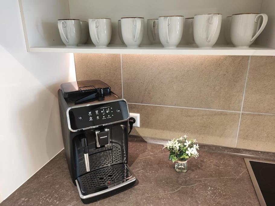 -Stadthaus Ida- Mit Grosser Dachterasse, Am Schlosspark, Luftkurort Kisslegg, Boxspringbetten, Kaffeevollautomat, Smarttv, Familienfreundlich, Grosszuegig, Zentral Exteriér fotografie