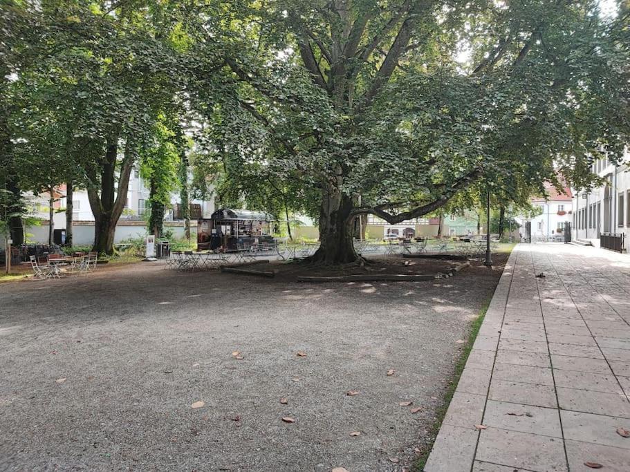 -Stadthaus Ida- Mit Grosser Dachterasse, Am Schlosspark, Luftkurort Kisslegg, Boxspringbetten, Kaffeevollautomat, Smarttv, Familienfreundlich, Grosszuegig, Zentral Exteriér fotografie