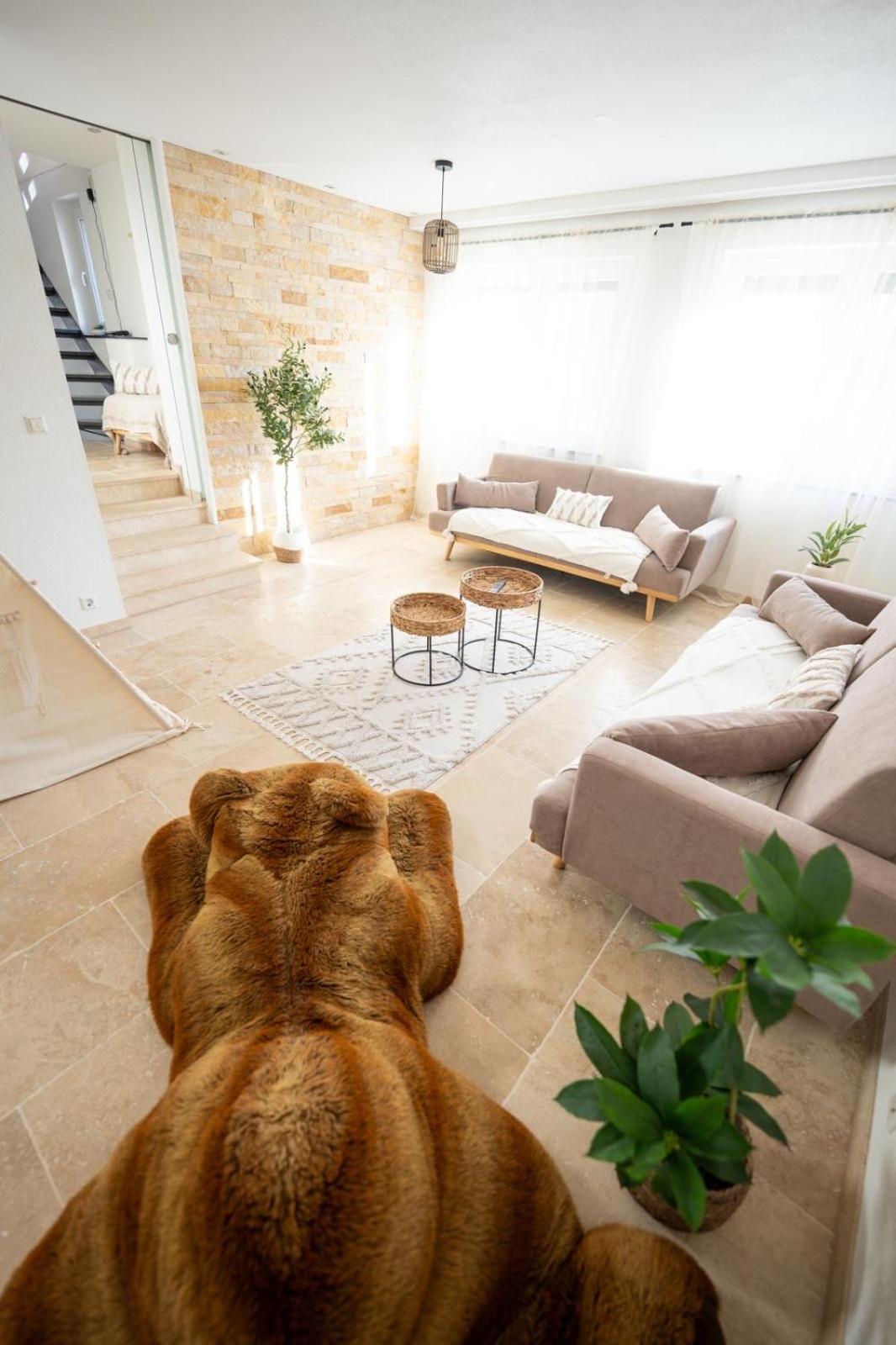 -Stadthaus Ida- Mit Grosser Dachterasse, Am Schlosspark, Luftkurort Kisslegg, Boxspringbetten, Kaffeevollautomat, Smarttv, Familienfreundlich, Grosszuegig, Zentral Exteriér fotografie
