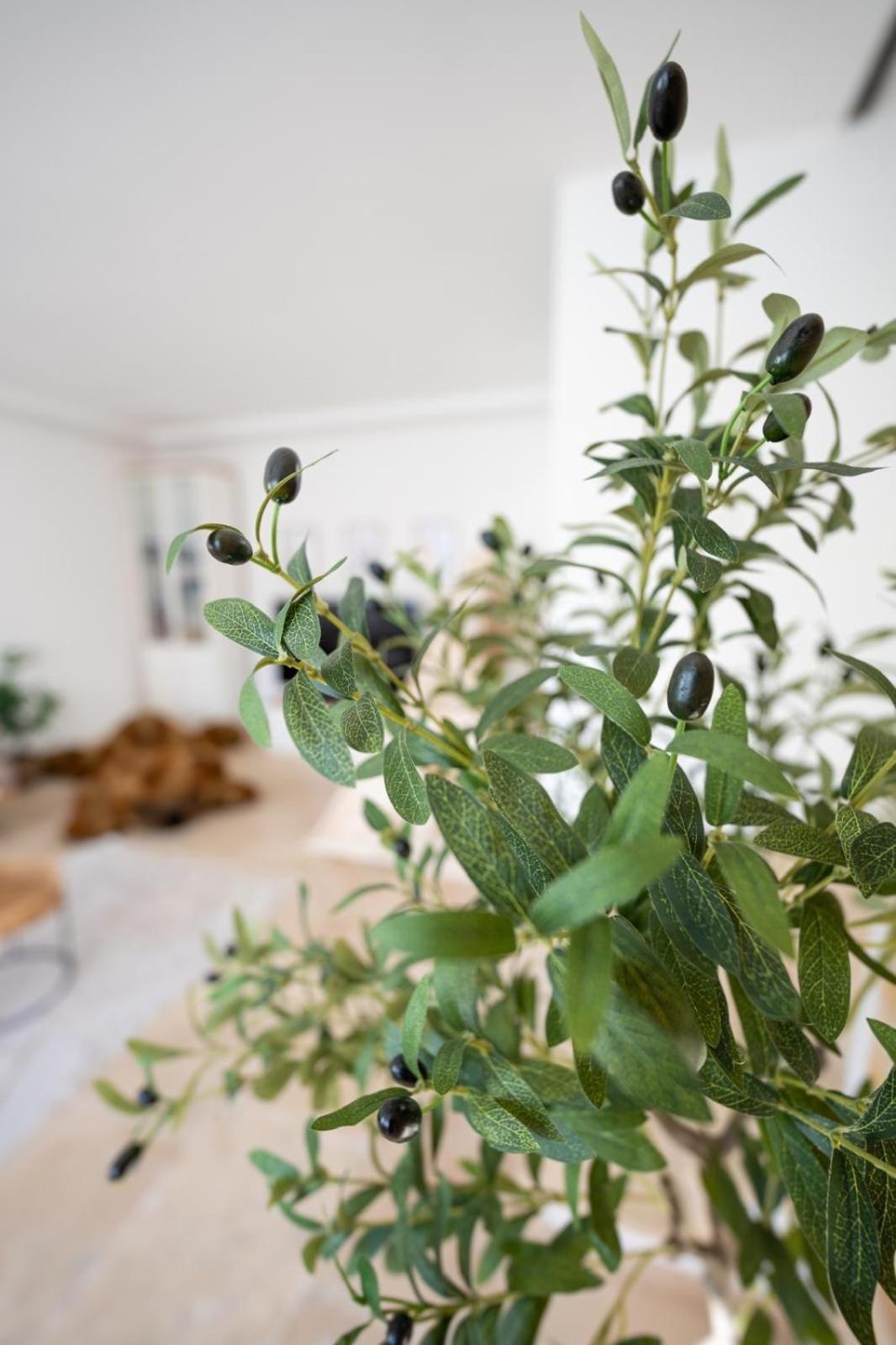 -Stadthaus Ida- Mit Grosser Dachterasse, Am Schlosspark, Luftkurort Kisslegg, Boxspringbetten, Kaffeevollautomat, Smarttv, Familienfreundlich, Grosszuegig, Zentral Exteriér fotografie